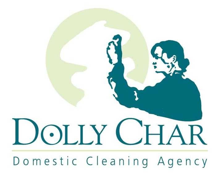 Domestic Cleaning Service in the Amersham area