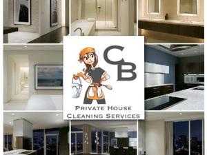 Domestic Cleaning Services