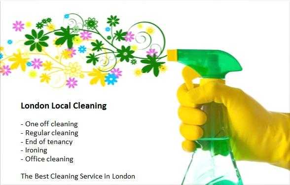 Domestic cleaning services on good prices