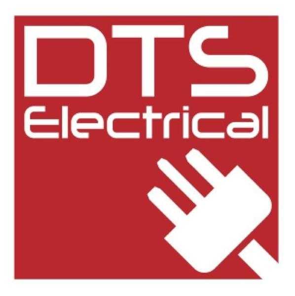 Domestic Electrician