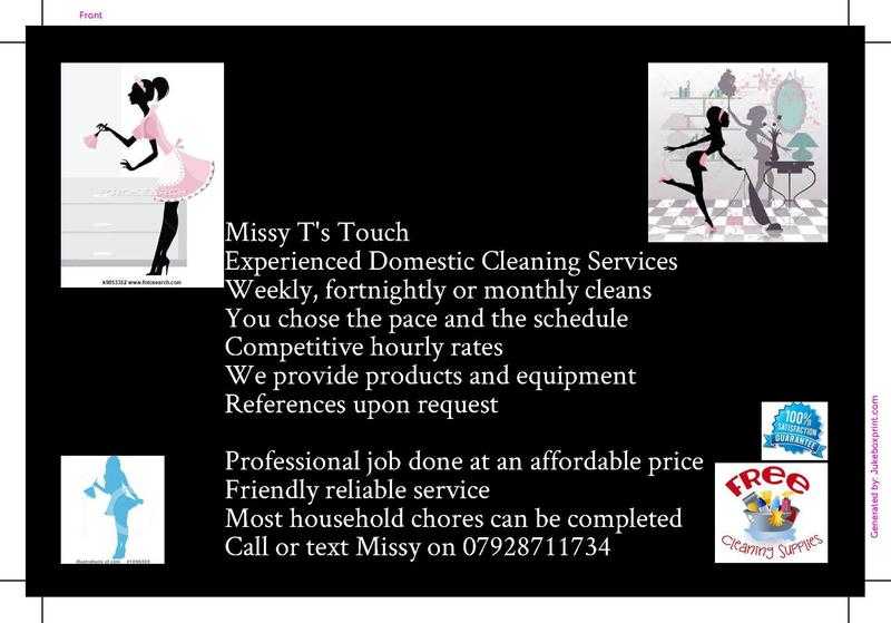 domestic house cleaner