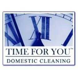 Domestic House Cleaner