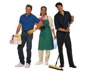 Domestic ,office and carpet cleaning