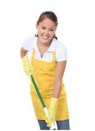 DOMESTIQUE Cleaning Service
