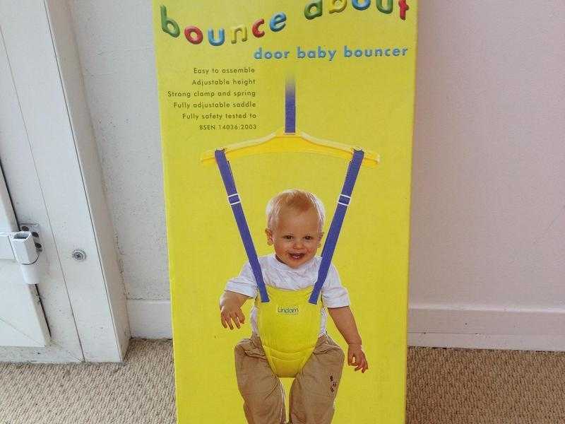 Door baby bouncer