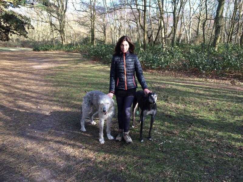 Dorking Dog Walker