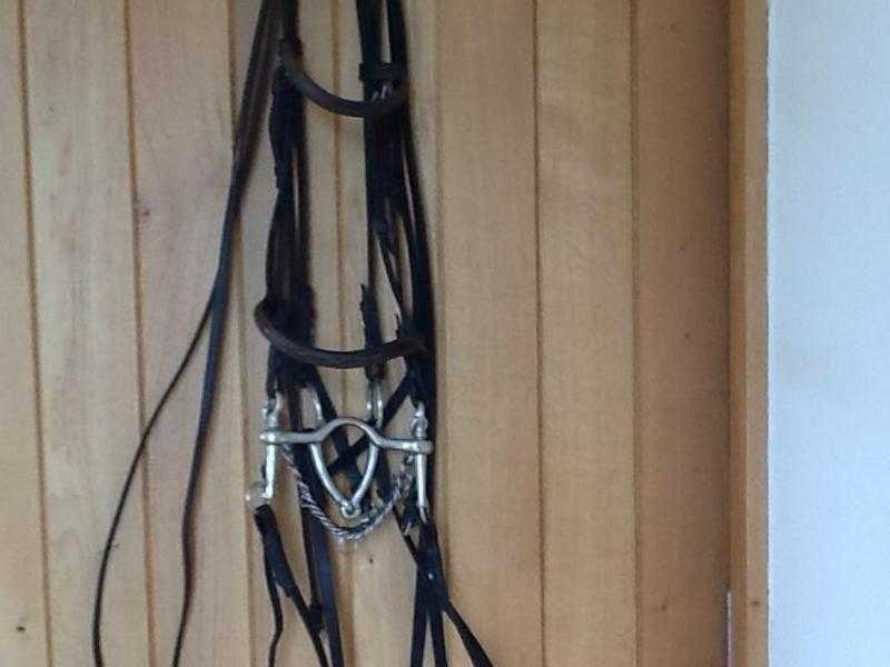 DOUBLE BRIDLE