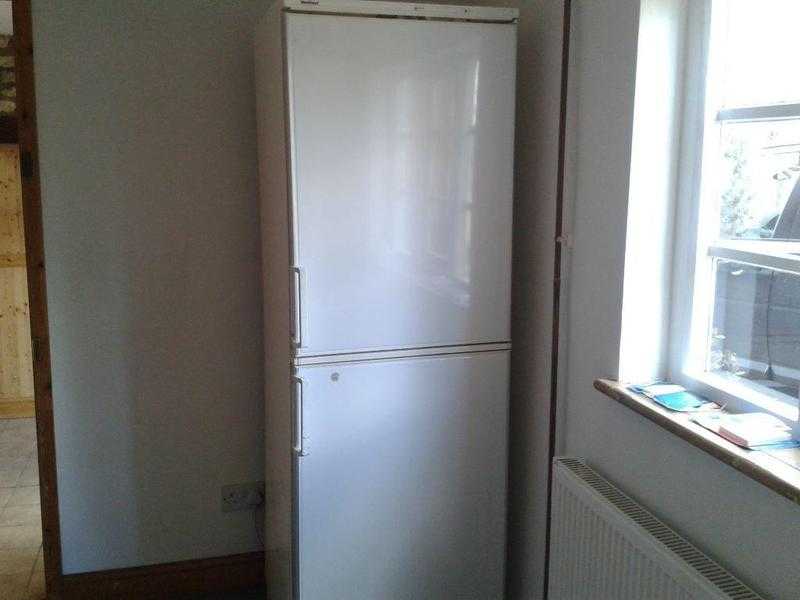 Double Door Fridge