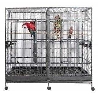 Double parrot cage