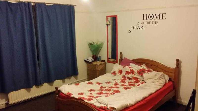 double room fo rent