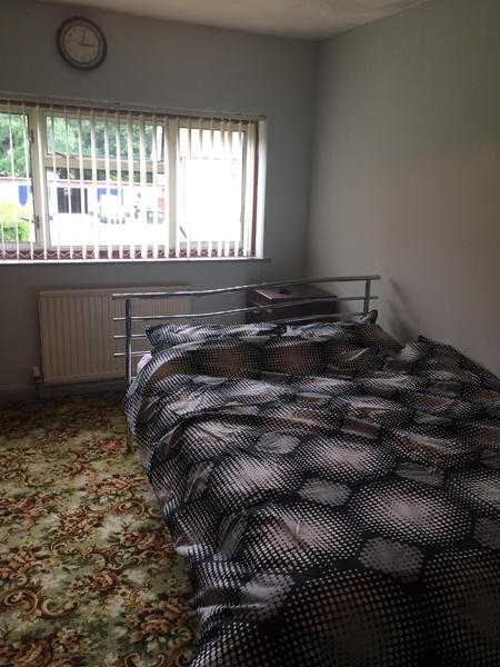 Double Room for Let