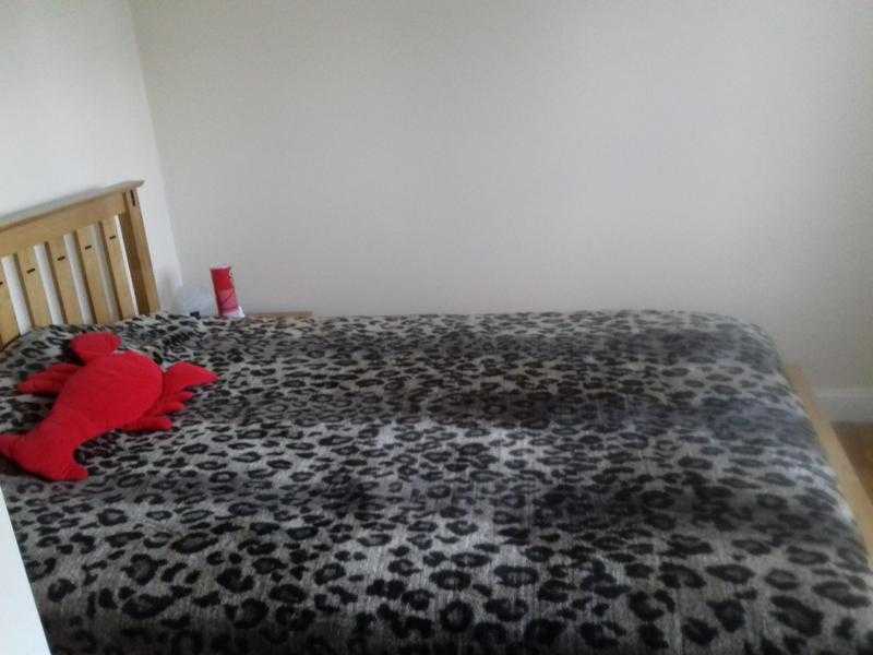 Double Room in Crawley