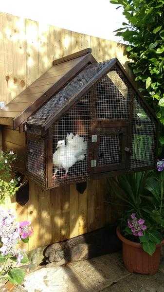 Dovecotes and more available to order