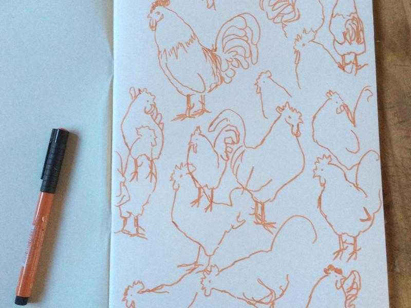 Drawing Chickens (2 hour session)