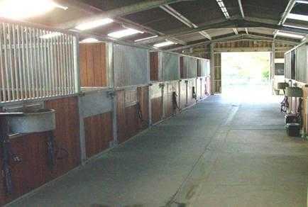 Dressage training and livery - West Sussex