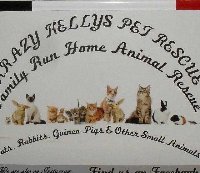 DRIVEWAY HOUSE SALE IN AID OF KRAZY Kellys PET Rescue