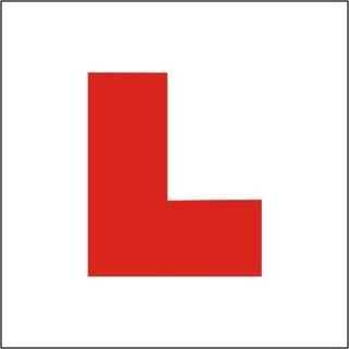 Driving School Approved Driving Instructor