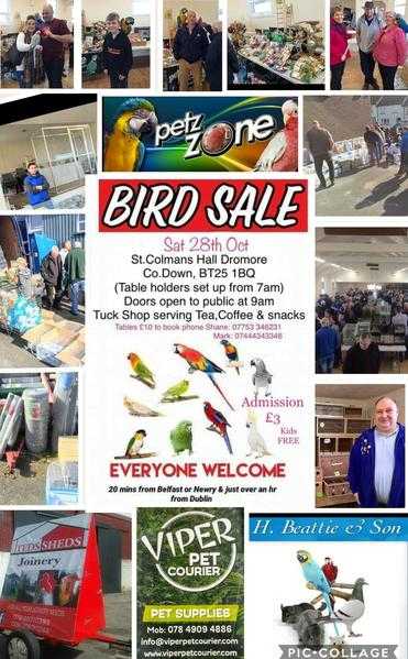 Dromore Cage amp Aviary Bird Sale