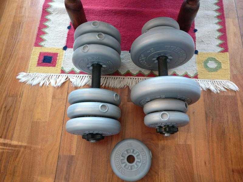 Dumbbell weights