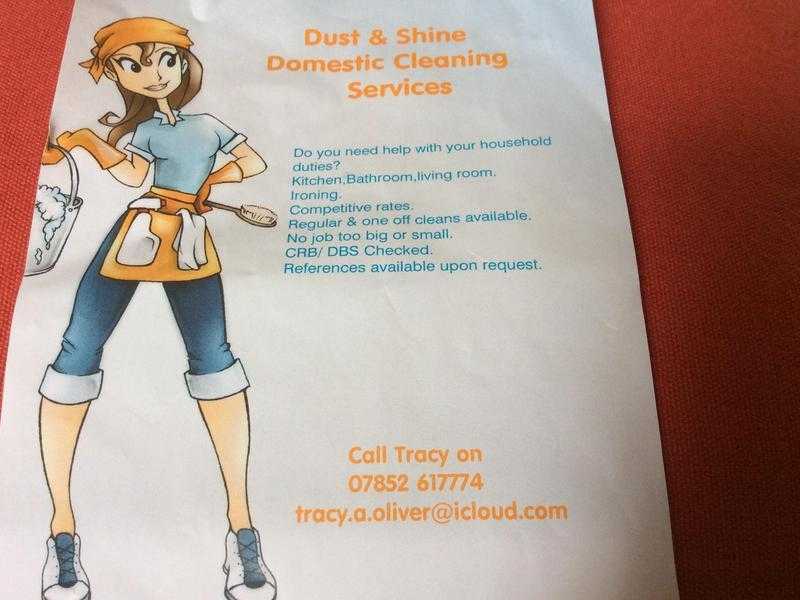 Dust amp Shine Domestic Cleaning Services