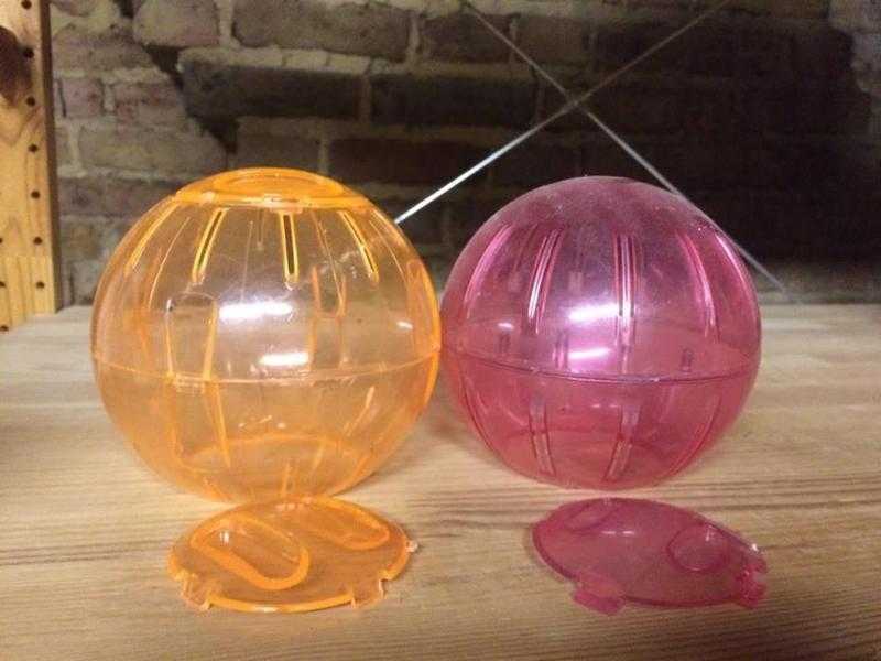 Dwarf Hamster playtime balls