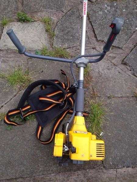 Dynamtic Petrol Strimmer