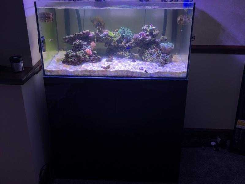 EA Reef salt water aquarium for sale