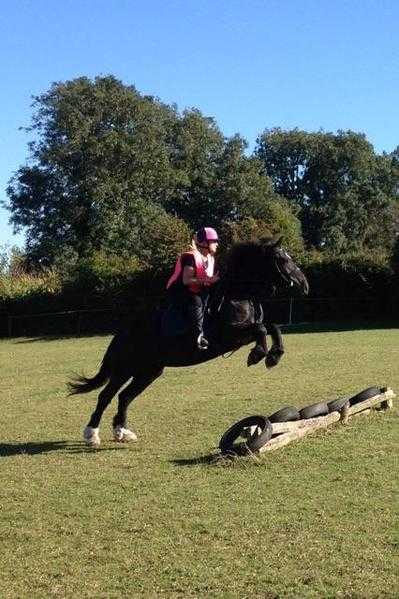 Easy loveable cob to share