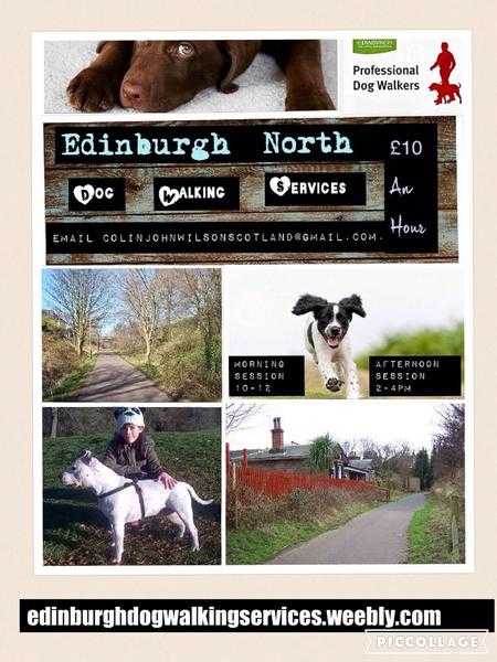 Edinburgh North dog walking service starting april0
