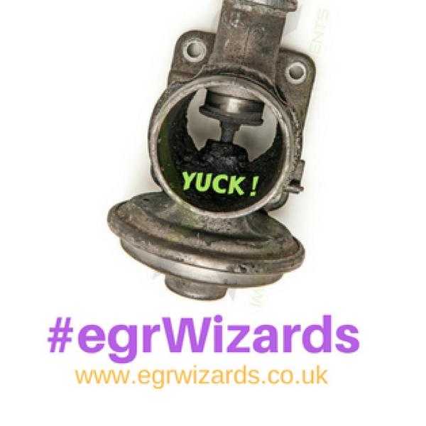 EGR Wizards - Mobile Mechanic EGR Valve cleaning service, Diesel specialist, DPF Regeneration.