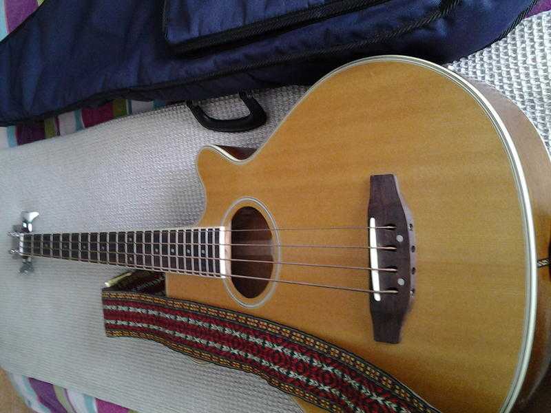 electric acoustic bass guitar