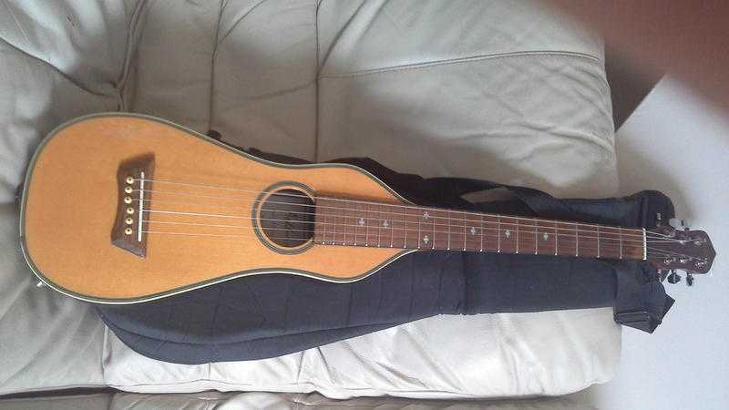 Electric Acoustic Guitar  Ashbury Model STR-100
