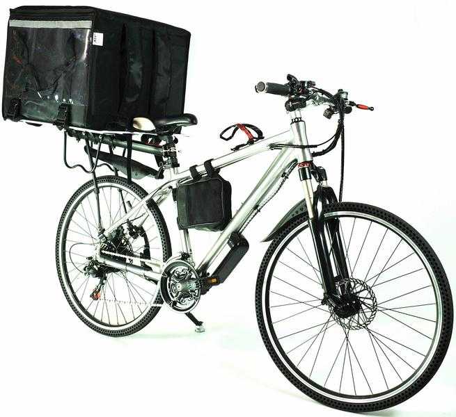 Electric Bicycle Go Go Delivery