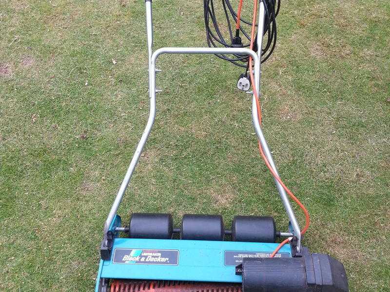 Electric lawn rake