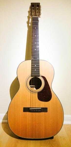 Electro Acoustic Guitar For Sale