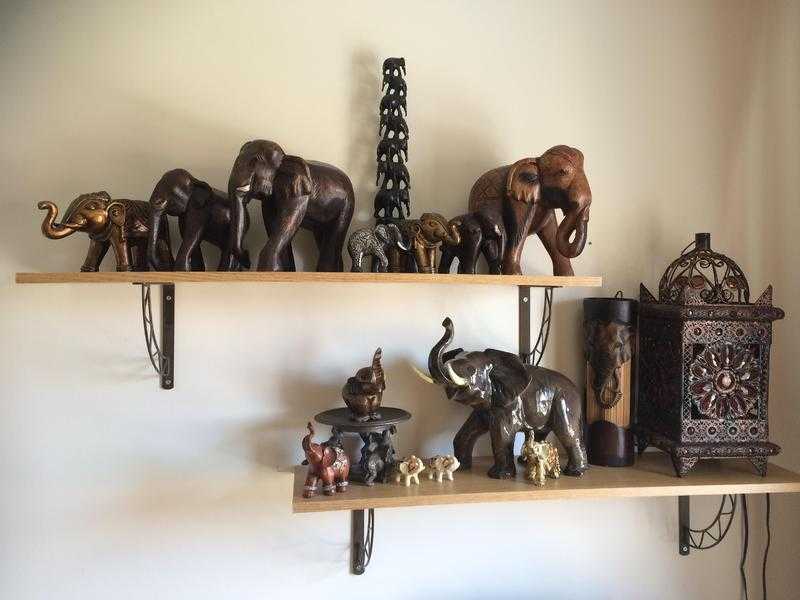 Elephant Collection