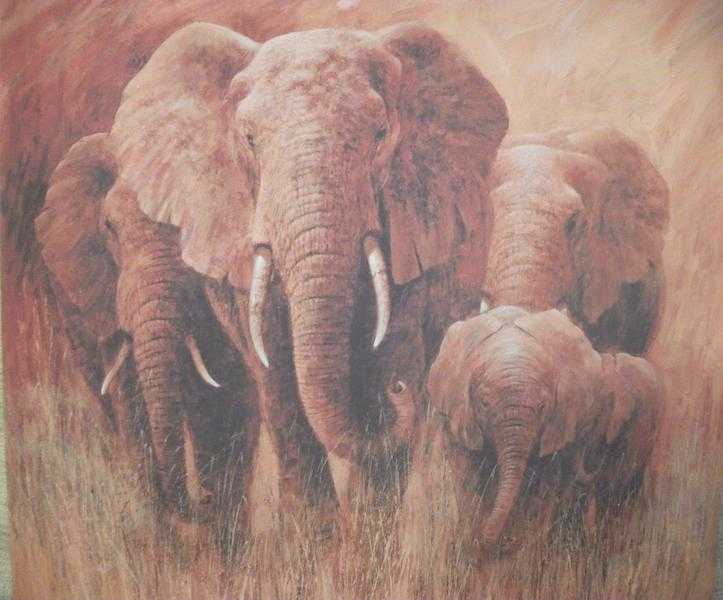 Elephant prints
