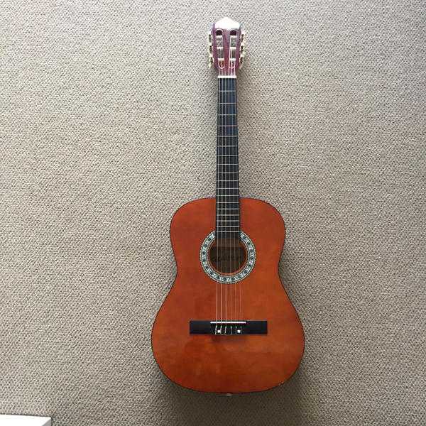 Elevation 34 Size Acoustic Guitar and case