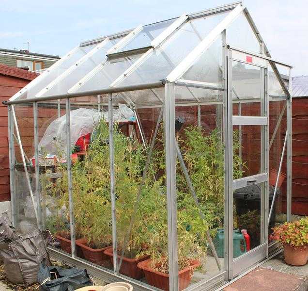 Elite high eave 8x6 greenhouse.
