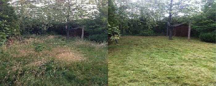 End of Tenancy Garden Clearance amp Tidy Ups