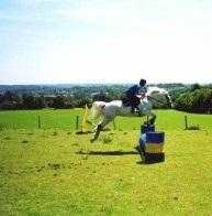 Equestrian Saddle Pads in United Kingdom