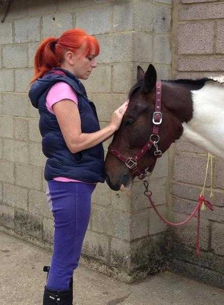 Equine Communicator and Reiki Healer