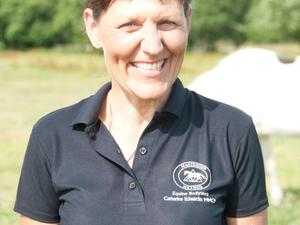 Equine Therapeutic Bodywork amp CranioSacral Therapy