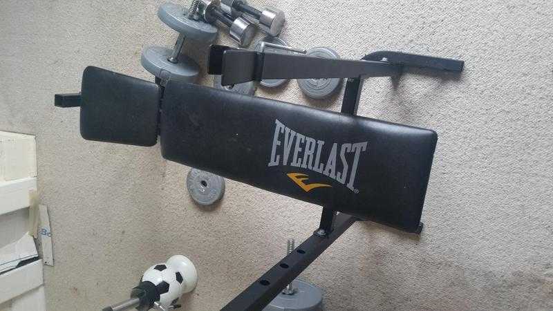 Everlast Weight Bench