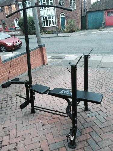 Everlast Weights Bench in Black with weights, excellent condition