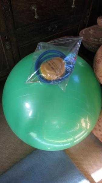 ExcercisePhysiotherapy ball and pump