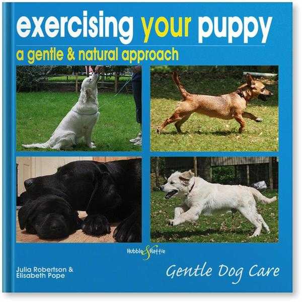 Exercising Your Puppy A Gentle amp Natural Approach