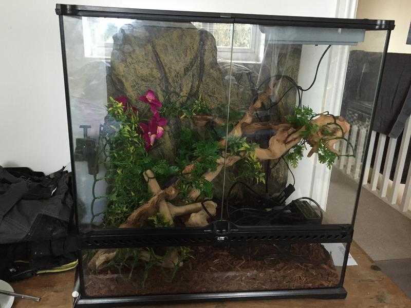 Exo terra 60x60x45 Vivarium with extras