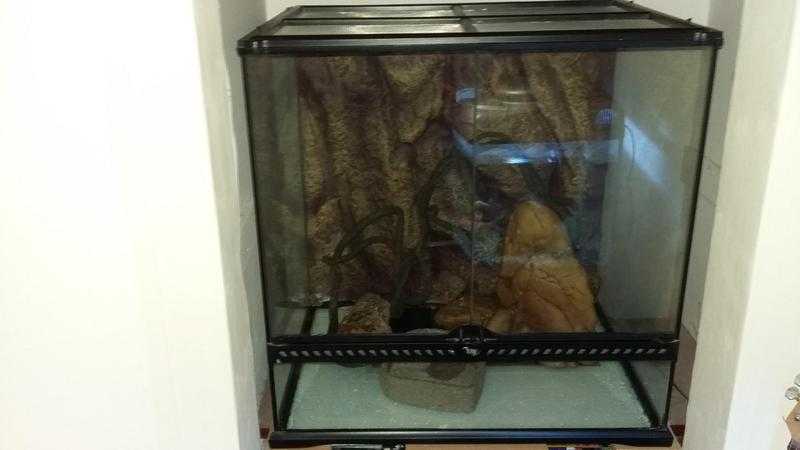 Exo Terra Vivarium For Sale