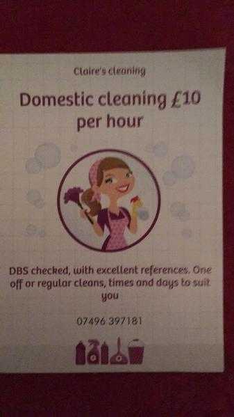 Experienced domestic cleaner looking for work